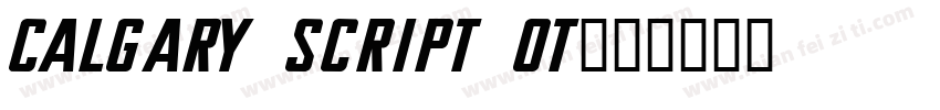 Calgary Script OT字体转换